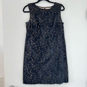 Black and taupe Ann Taylor loft dress